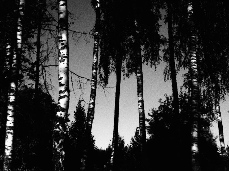 Шаман, Новомосковск, родной город шамана, ярослав дронов, ярослав дронов шаман, shaman, шаман